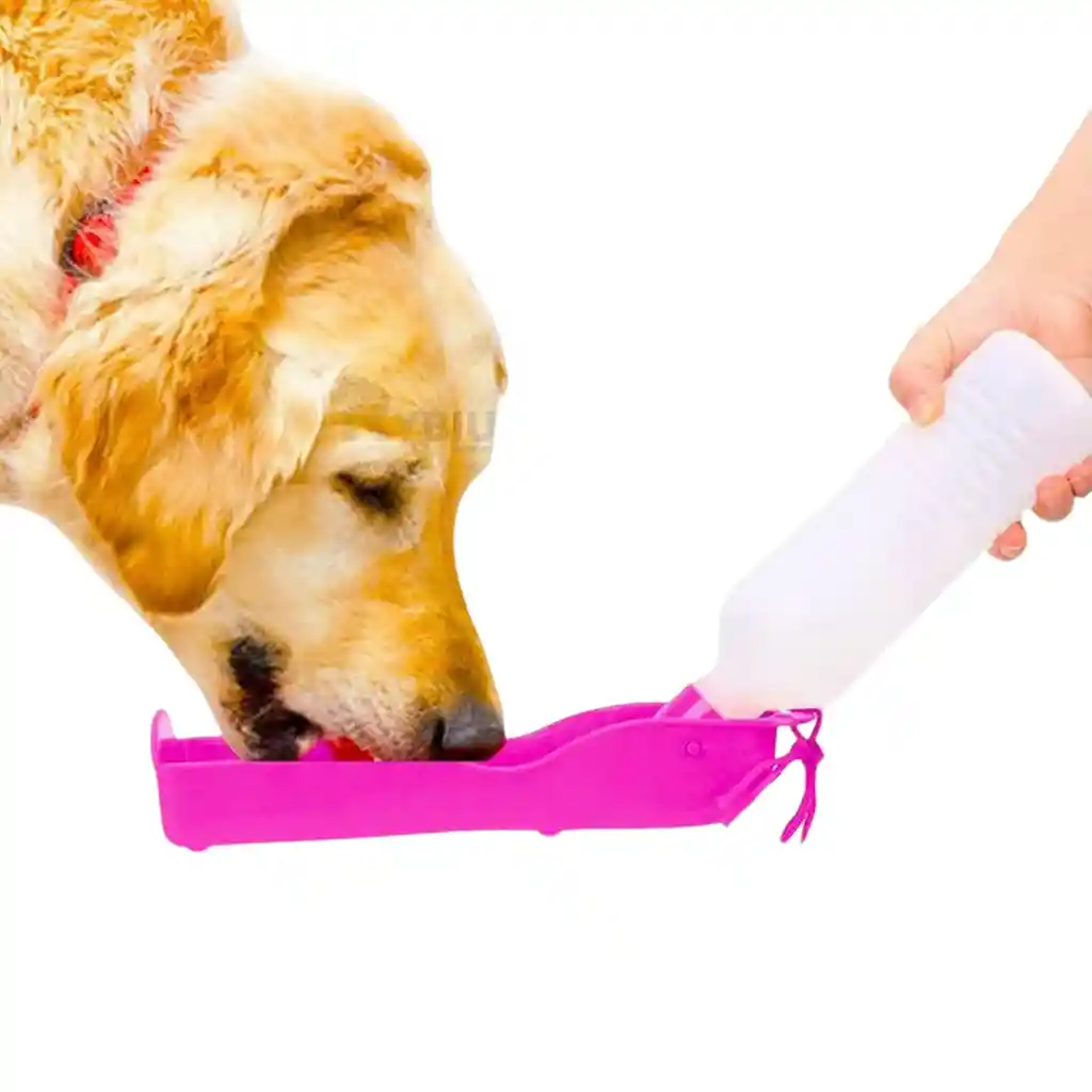 Bebedero Portatil + Comedero Plegable Para Mascotas 2 En 1
