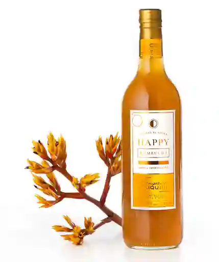 Kombucha Tangerine Daiquiri - Happy Kombucha 750ml