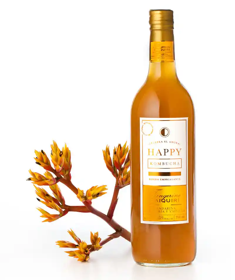 Kombucha Tangerine Daiquiri - Happy Kombucha 160ml