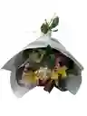 Flores De Astromelias
