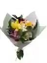 Flores De Astromelias