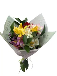 Flores De Astromelias