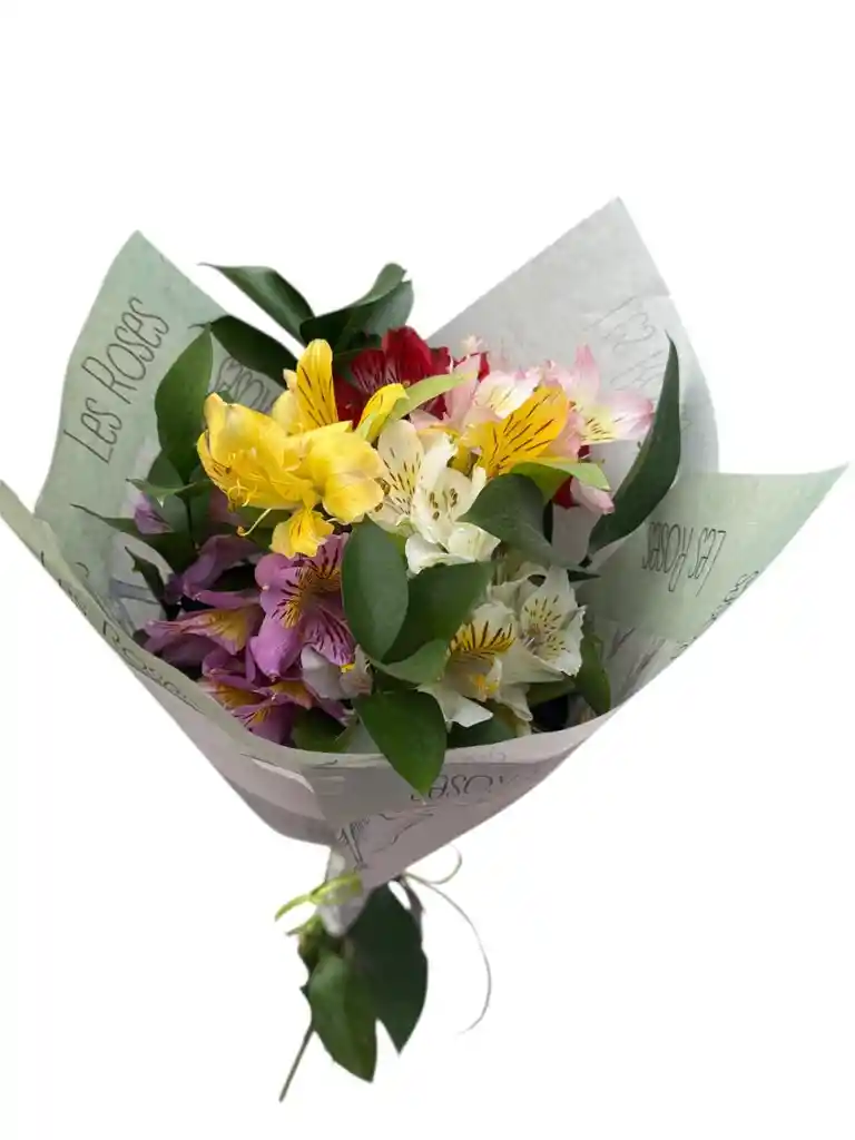 Flores De Astromelias