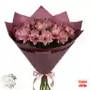 Astromelia Rosa