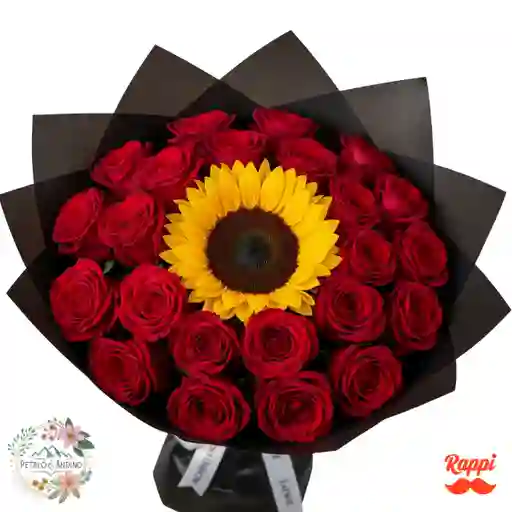 Amanecer De Rosas