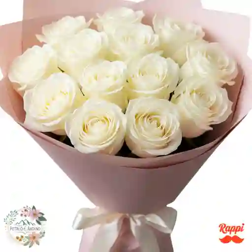 12 Rosas Blancas