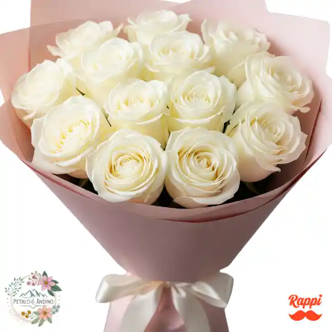 12 Rosas Blancas