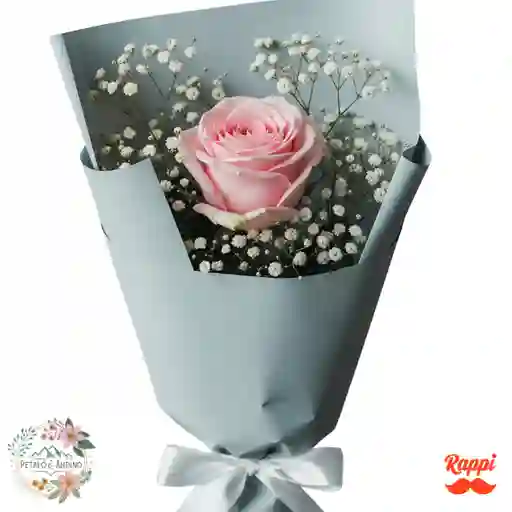 1 Rosa Rosado Claro