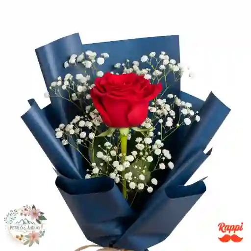 1 Rosa Roja