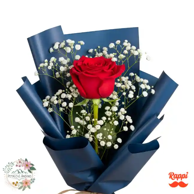 1 Rosa Roja