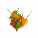 Ají Chivato "putumayo"