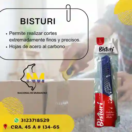 Bisturi