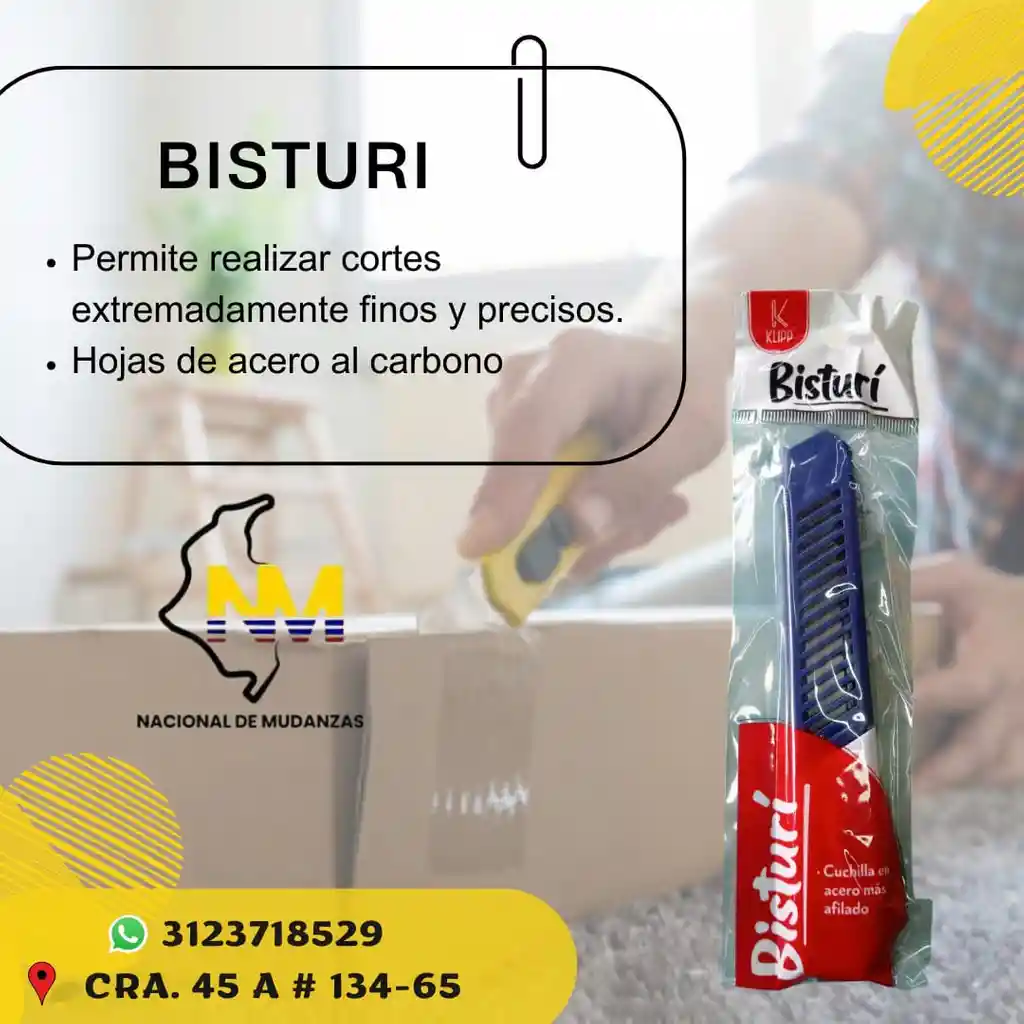Bisturi