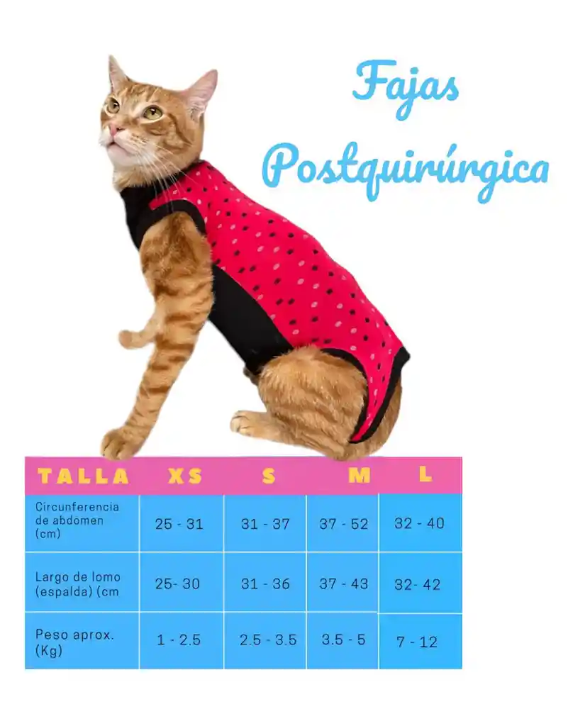 Faja Para Gato Talla Xs + Baxidin 60ml
