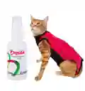 Faja Para Gato Talla Xs + Baxidin 60ml