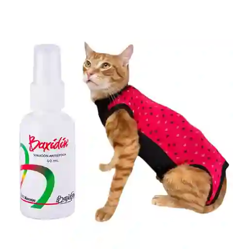 Faja Para Gato Talla M + Baxidin 60 Ml