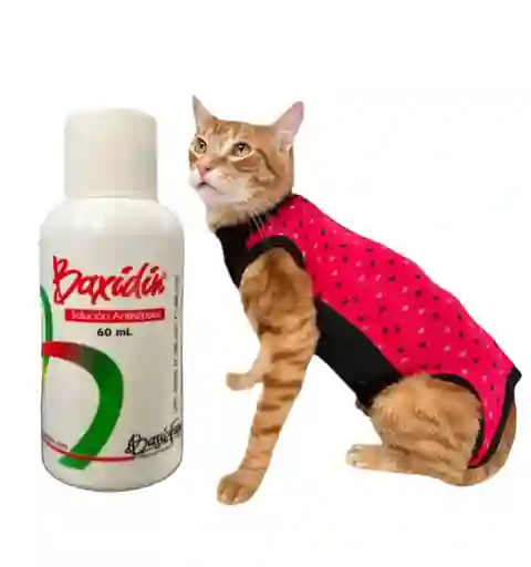Faja Para Gato Talla L + Baxidin 60 Ml