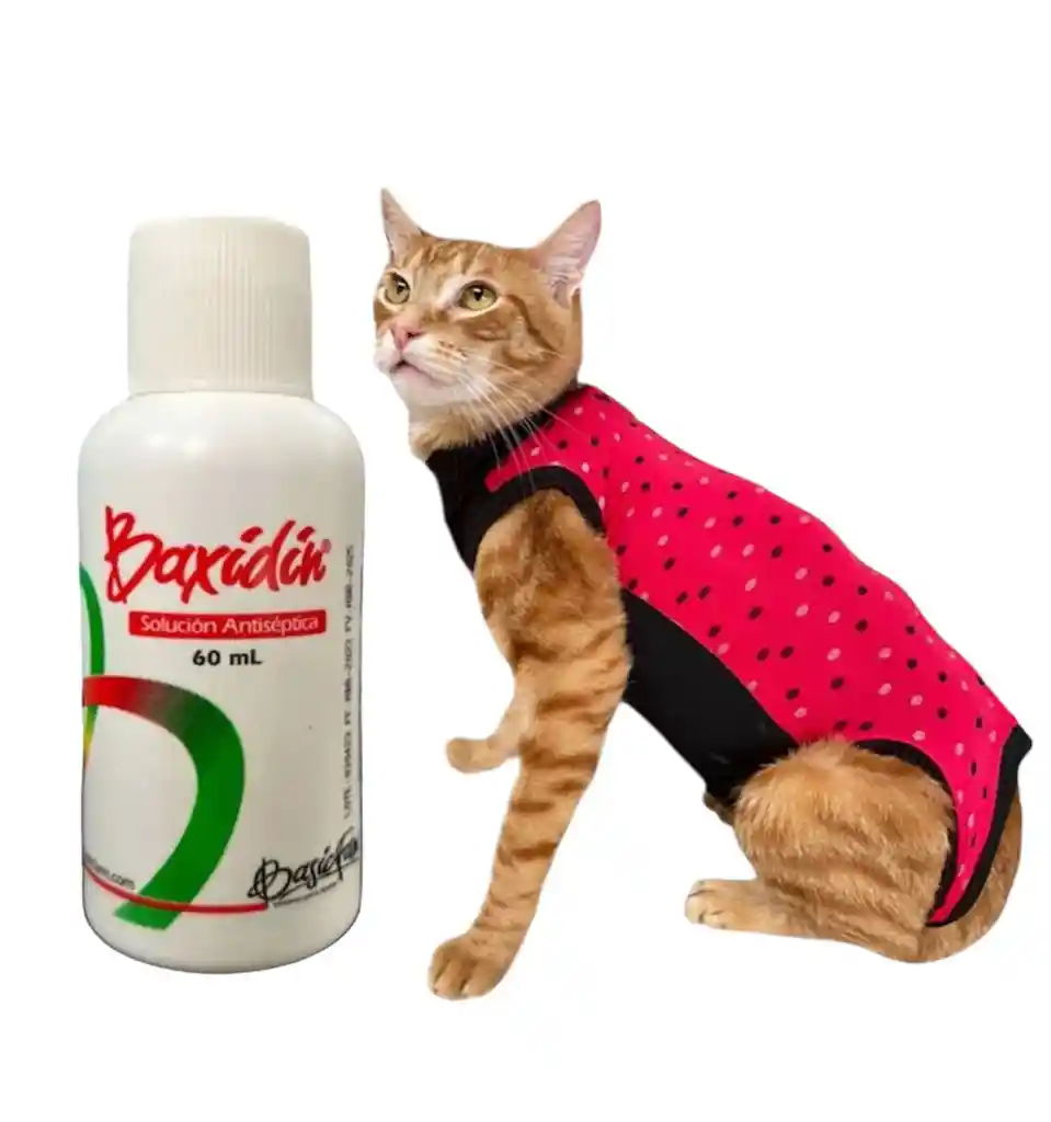 Faja Para Gato Talla L + Baxidin 60 Ml