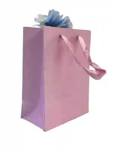Bolsa Rosada Manija 14x10x6