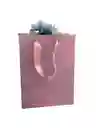 Bolsa Rosada Manija 14x10x6