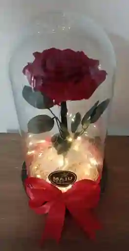 Rosa Preservada En Cupula De Vidrio