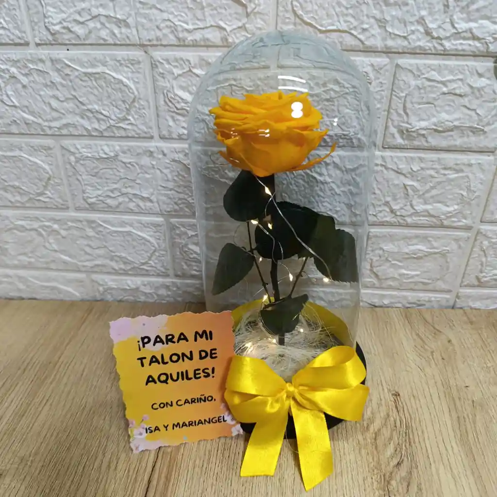 Rosa Preservada En Cupula De Vidrio