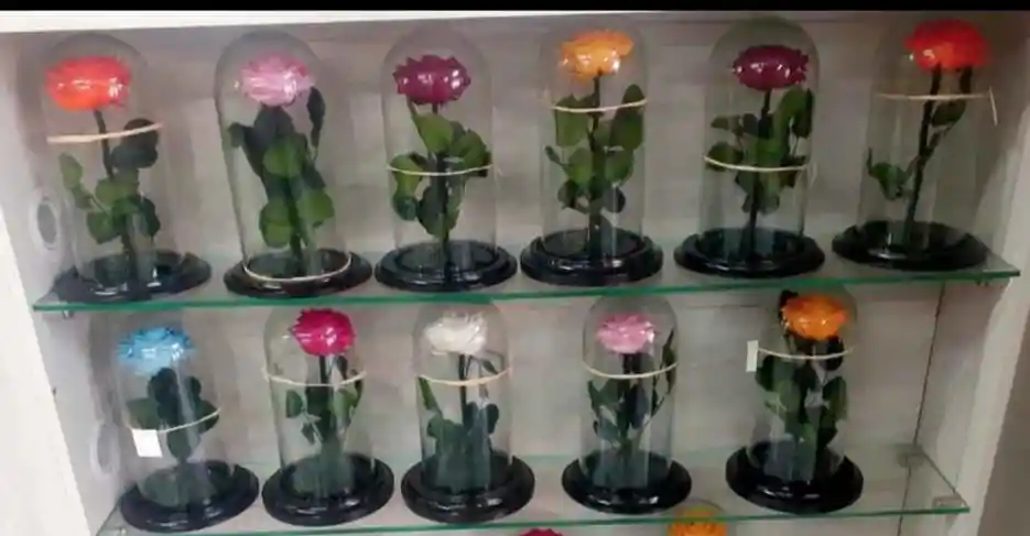 Rosa Preservada En Cupula De Vidrio