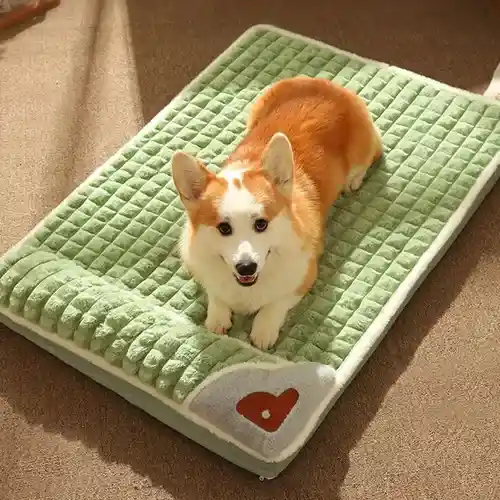 Cama Para Mascotas