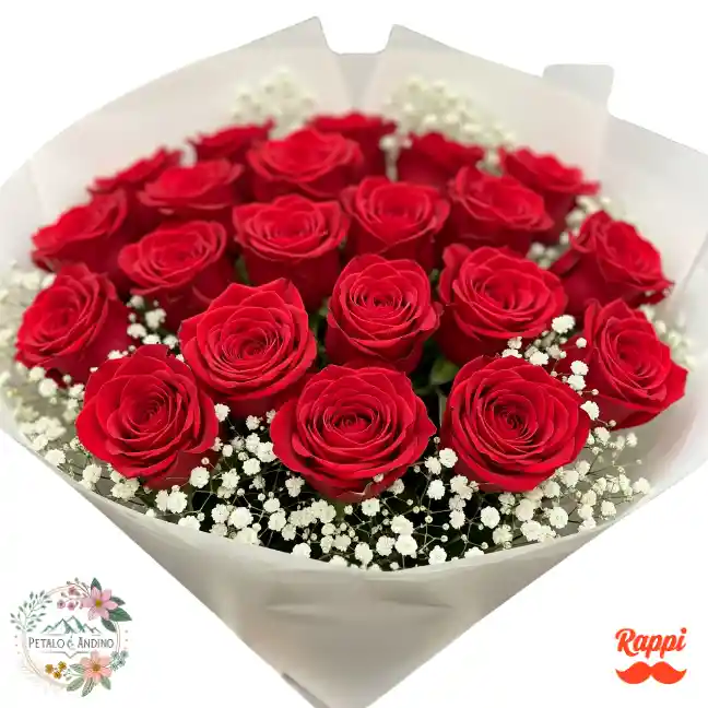 24 Rosas Rojas