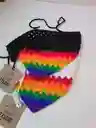 Pañoleta Pride