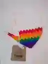 Pañoleta Pride