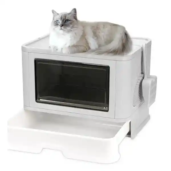 Arenero Para Gato