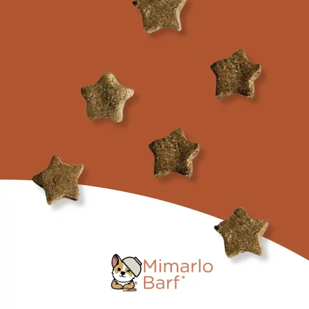 Galletas Forte Mini 50g 🐾