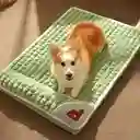 Cama Para Mascotas