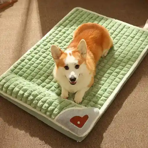 Cama Para Mascotas
