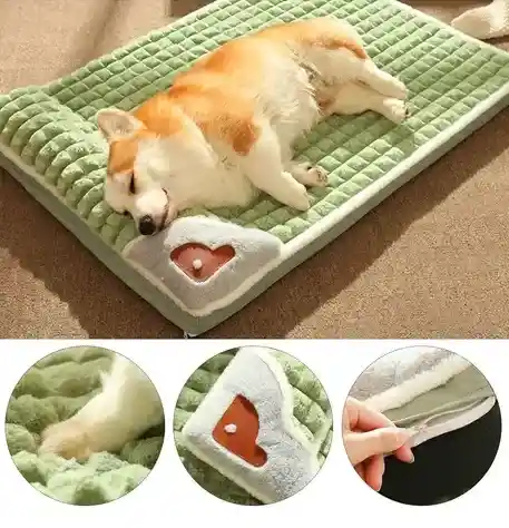 Cama Para Mascotas
