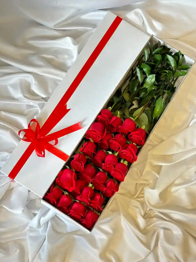 Caja Deluxe 24 Rosas Rojas