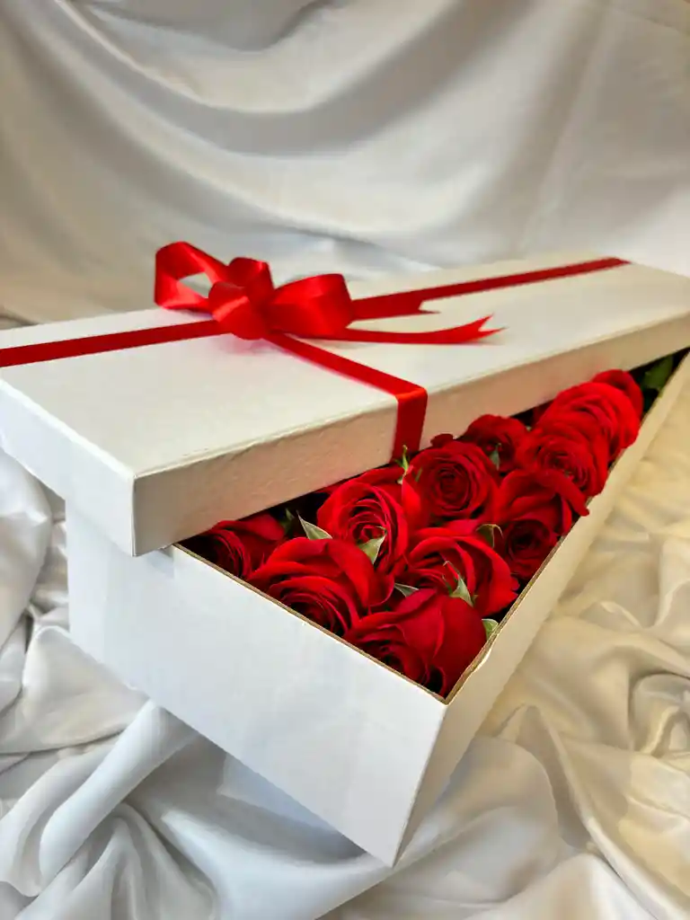 Caja Deluxe 24 Rosas Rojas