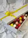Caja Deluxe 24 Rosas Multicolor