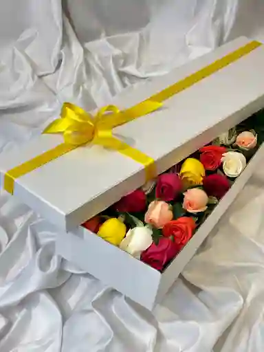 Caja Deluxe 24 Rosas Multicolor