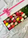 Caja Deluxe 24 Rosas Multicolor