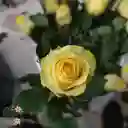 24 Rosas Amarillas