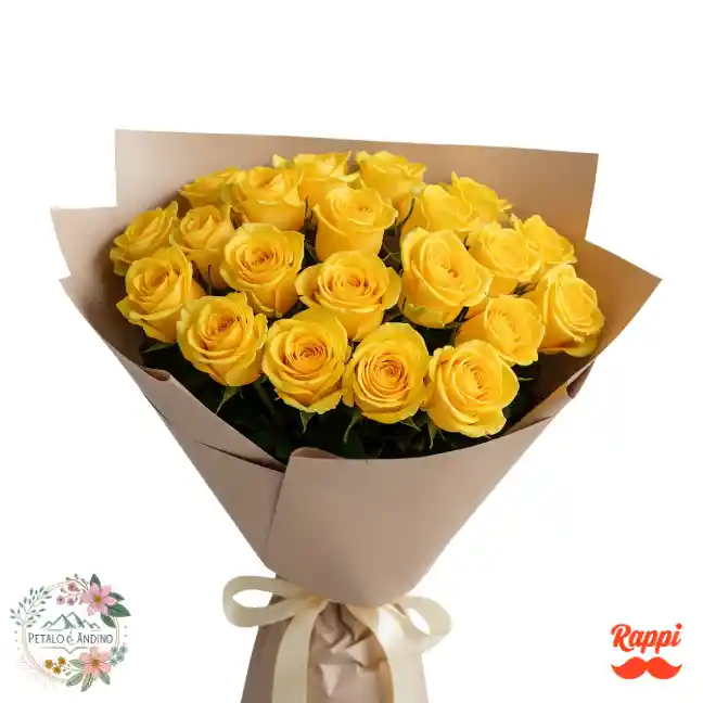 24 Rosas Amarillas