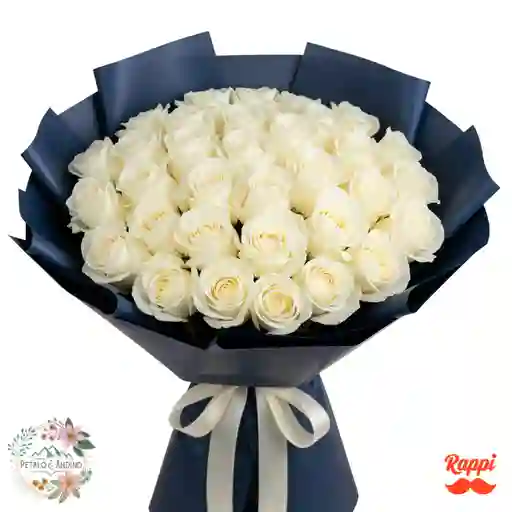 48 Rosas Blancas