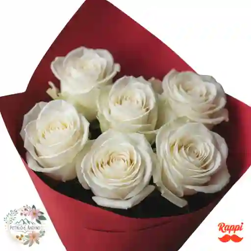 6 Rosas Blancas