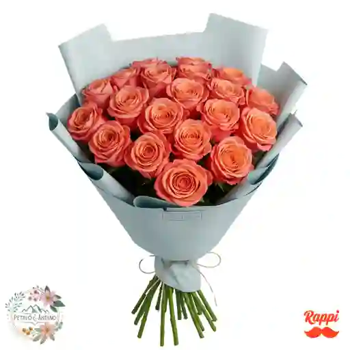 24 Rosas Color Salmon
