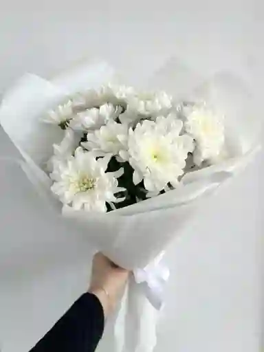 Ramo Pompom