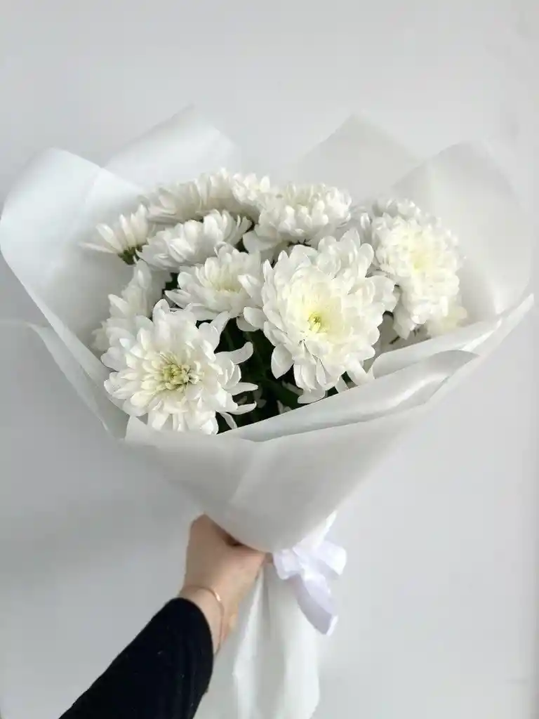 Ramo Pompom