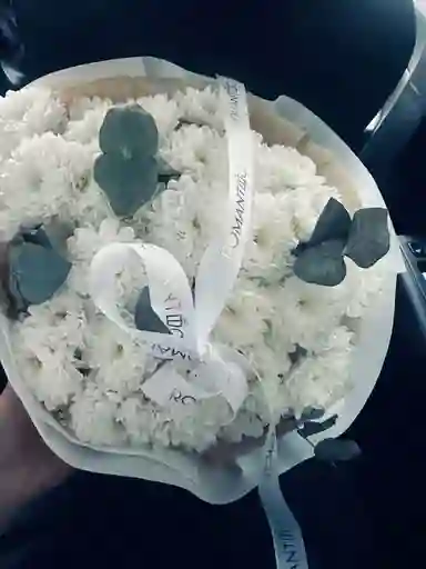 Ramo Pompom Grande