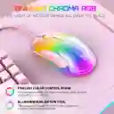 Mouse De Juego Gamer Onikuma Cw925 Rgb